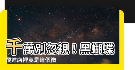 黑蝴蝶飛進家裡|黑蝴蝶飛到家裡來了好不好,今天一隻黑蝴蝶飛進我家裡，會不會。